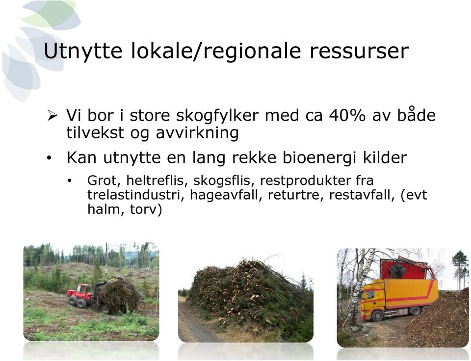 bioenergi kilder Grot, heltreflis, skogsflis, restprodukter fra