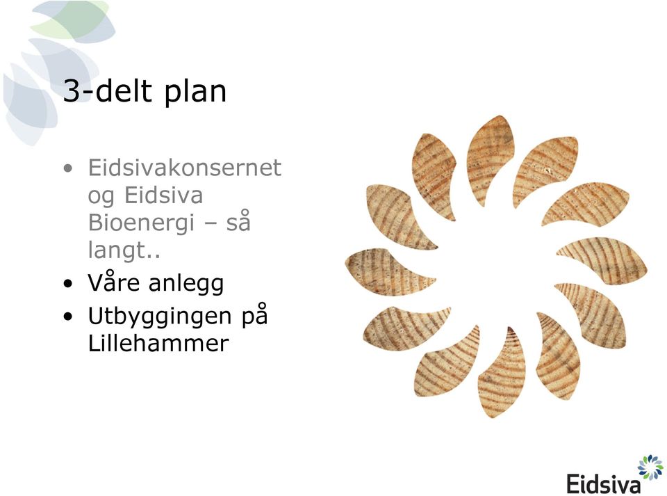 Eidsiva Bioenergi så