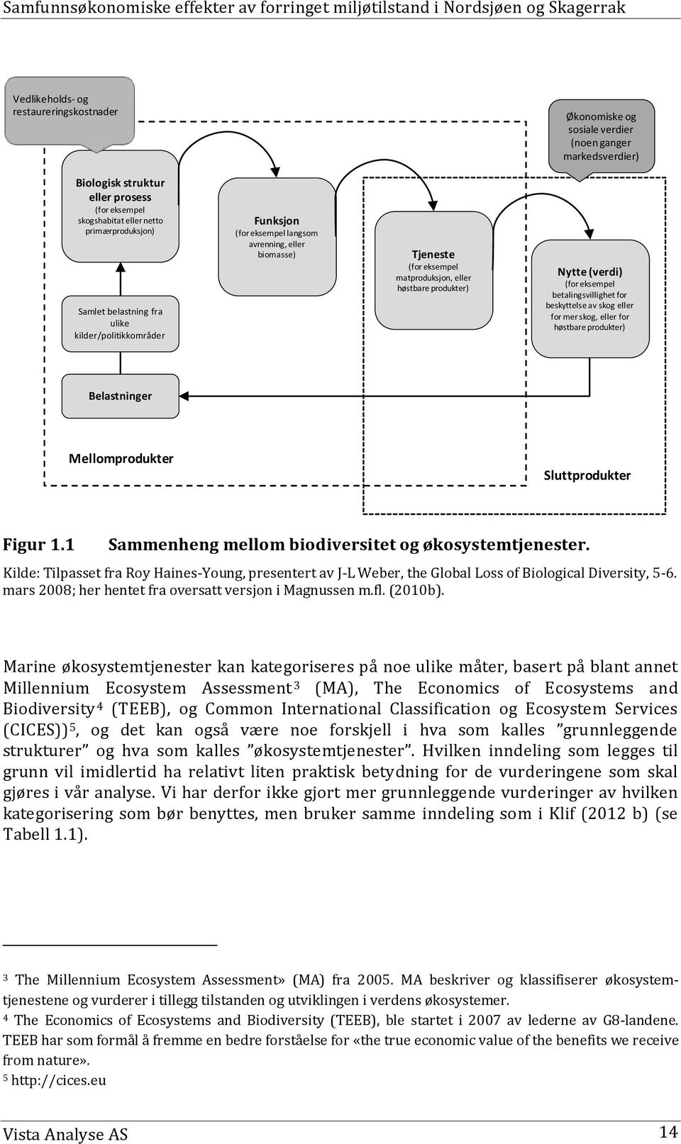 betalingsvillighet for beskyttelse av skog eller for mer skog, eller for høstbare produkter) Belastninger Mellomprodukter Sluttprodukter Figur 1.