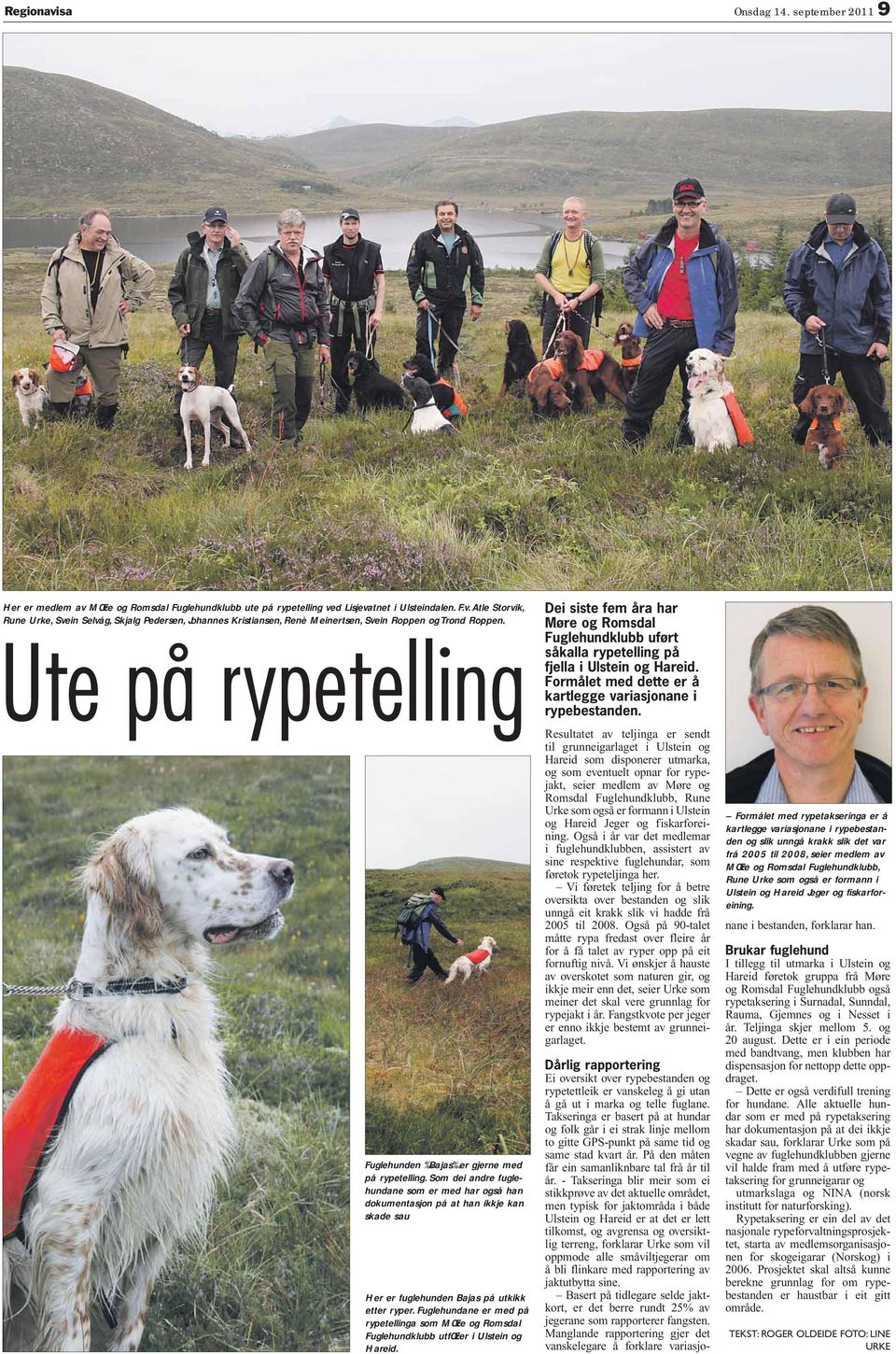 om dei andre fuglehundane som er med har også han dokumentasjon på at han ikkje kan skade sau Her er fuglehunden Bajas på utkikk etter ryper.