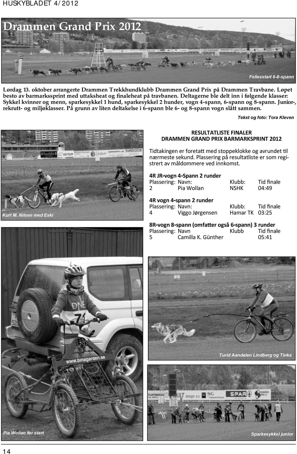 Deltagerne ble delt inn i følgende klasser: Sykkel kvinner og menn, sparkesykkel 1 hund, sparkesykkel 2 hunder, vogn 4-spann, 6-spann og 8-spann. Junior-, rekrutt- og miljøklasser.
