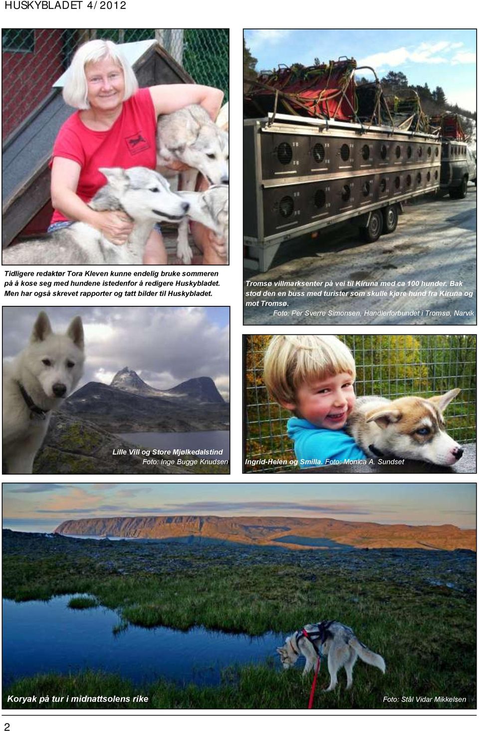 Bak stod den en buss med turister som skulle kjøre hund fra Kiruna og mot Tromsø.