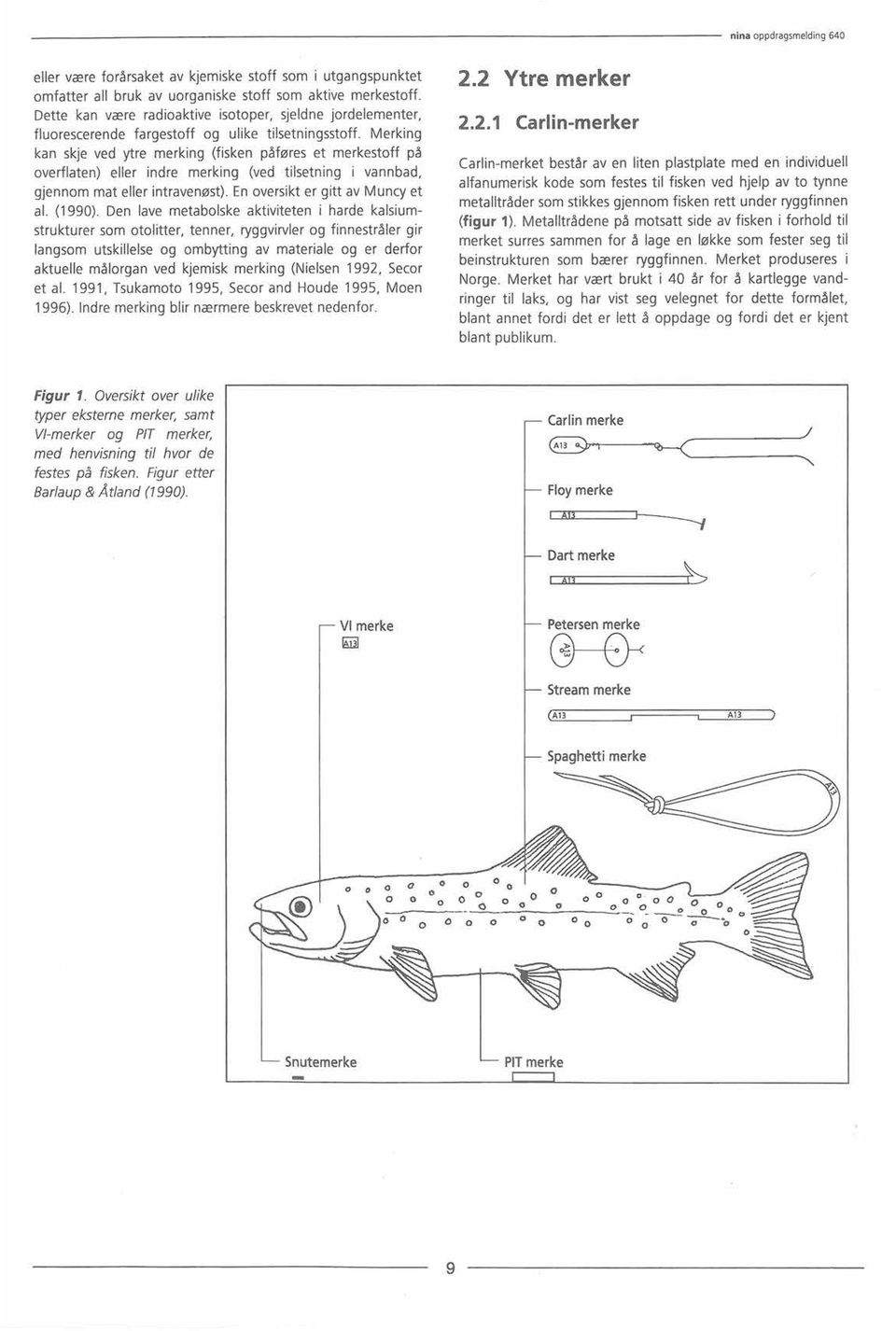 Merking kan skje ved ytre merking (fisken påføres et merkestoff på overflaten) eller indre merking (ved tilsetning i vannbad, gjennom mat eller intravenøst). En oversikt er gitt av Muncy et al.