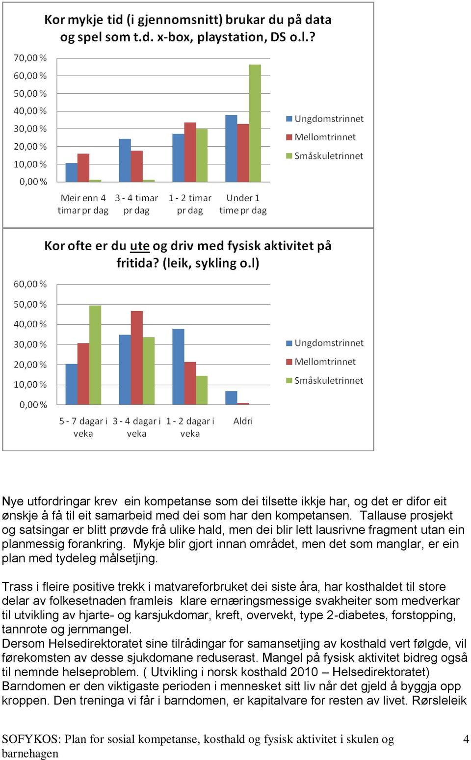 Mykje blir gjort innan området, men det som manglar, er ein plan med tydeleg målsetjing.