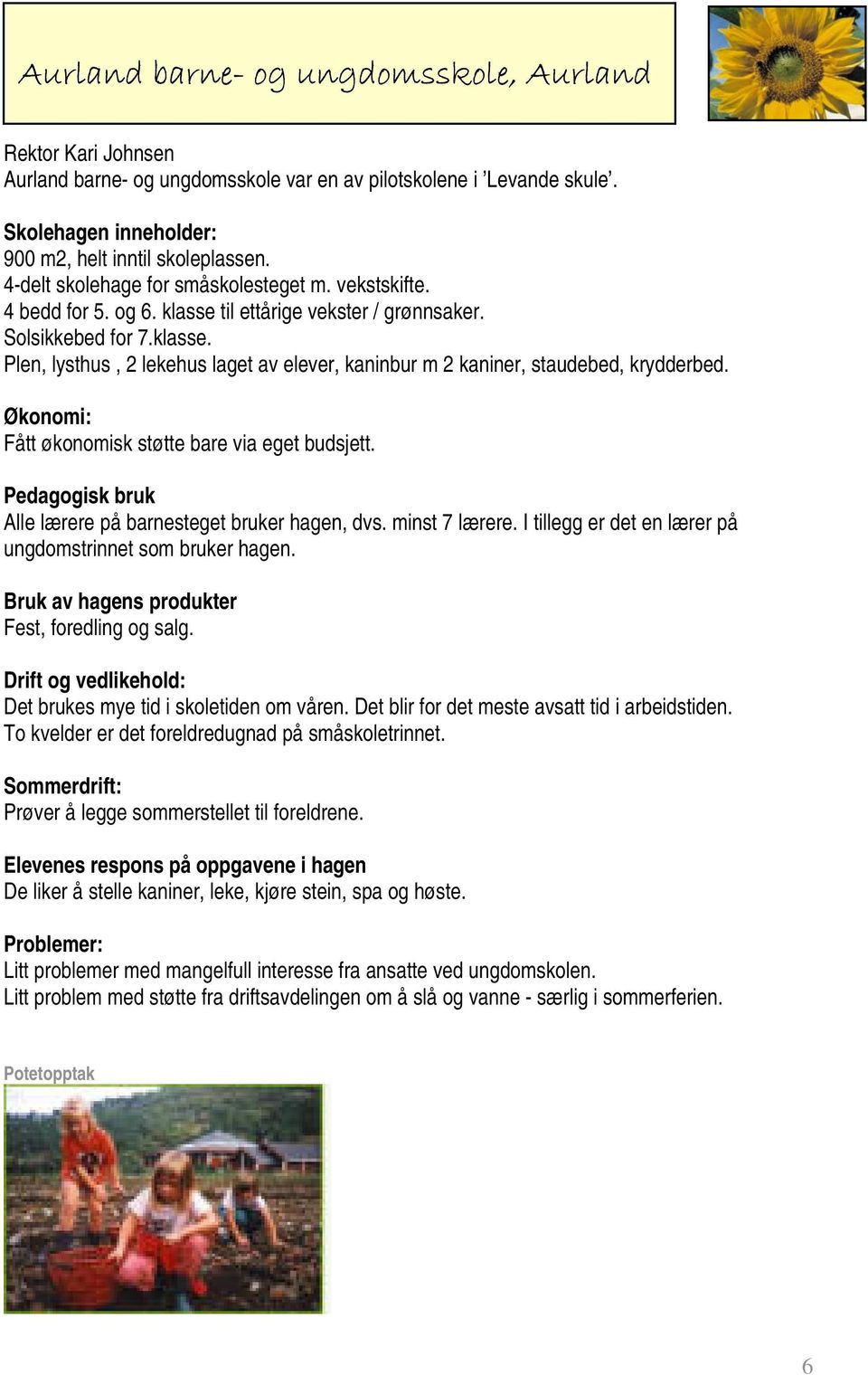 til ettårige vekster / grønnsaker. Solsikkebed for 7.klasse. Plen, lysthus, 2 lekehus laget av elever, kaninbur m 2 kaniner, staudebed, krydderbed.