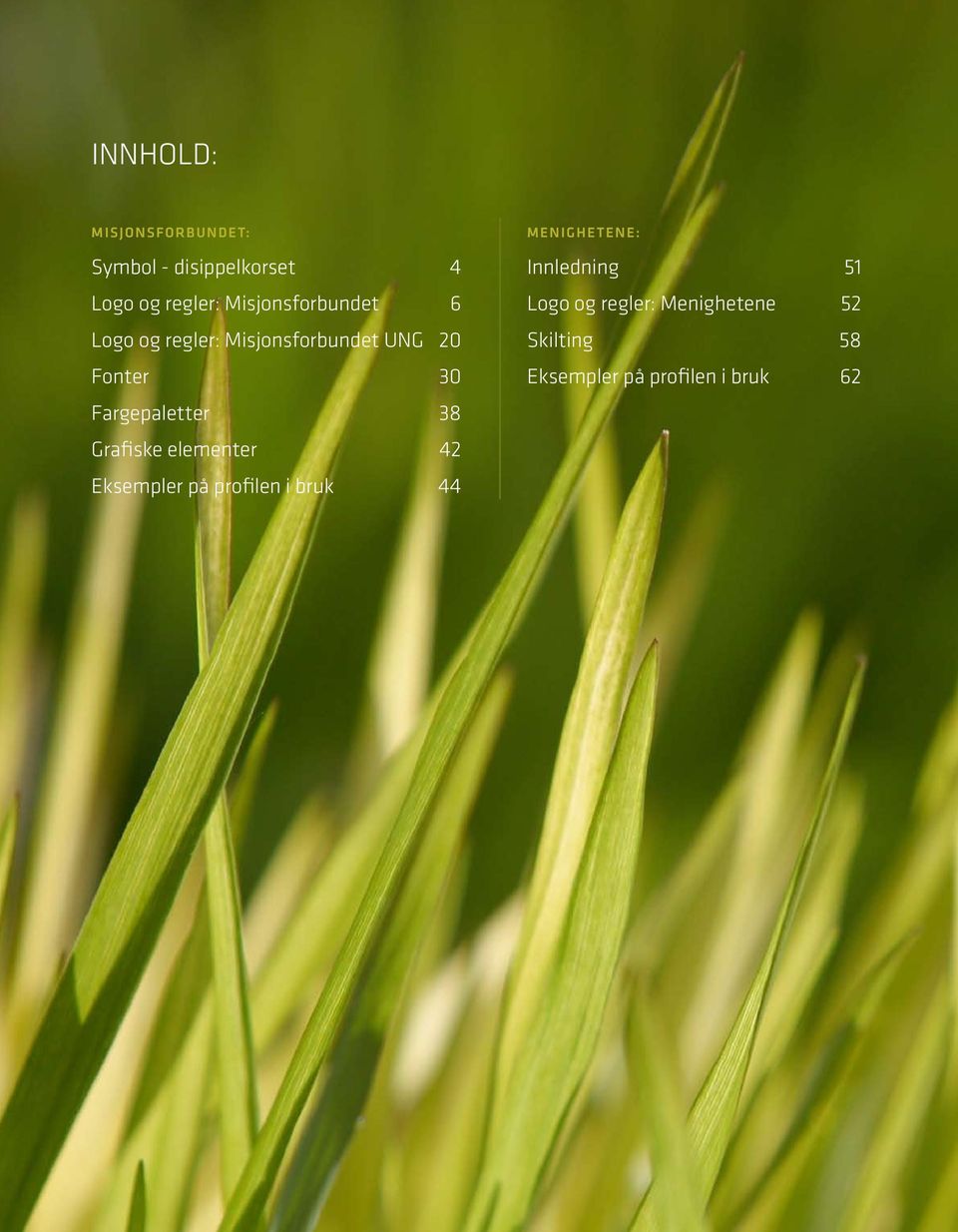 Fargepaletter 38 Grafiske elementer 42 Eksempler på profilen i bruk 44