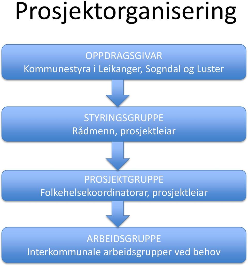 prosjektleiar PROSJEKTGRUPPE Folkehelsekoordinatorar,