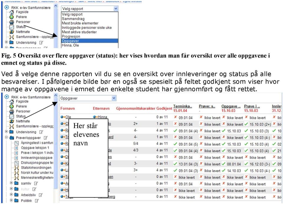 Ved å velge denne rapporten vil du se en oversikt over innleveringer og status på alle besvarelser.