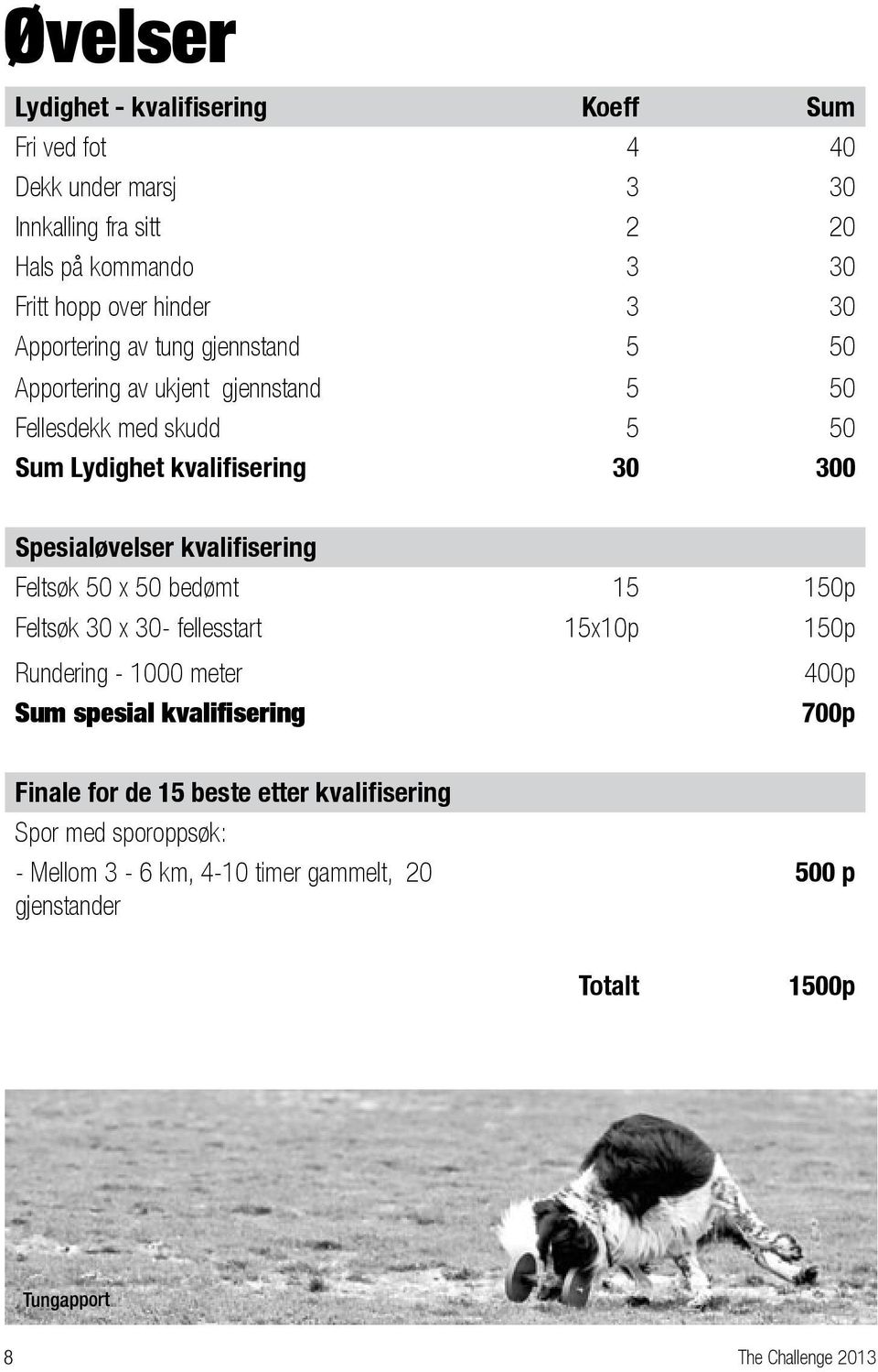 kvalifisering Feltsøk 50 x 50 bedømt 15 150p Feltsøk 30 x 30- fellesstart 15x10p 150p Rundering - 1000 meter 400p Sum spesial kvalifisering 700p Finale