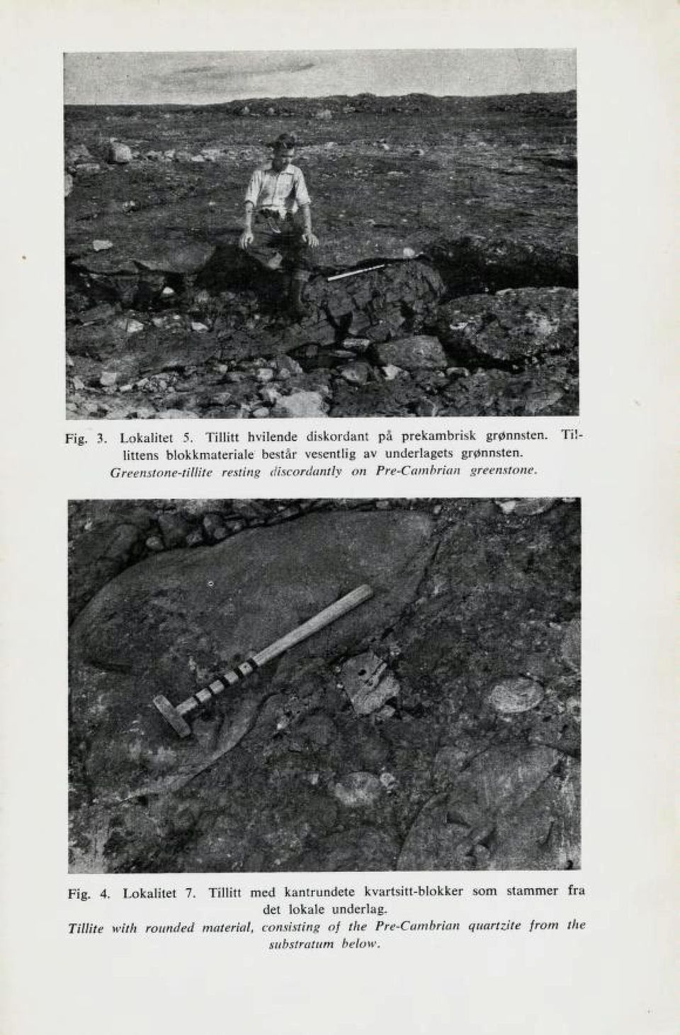 Greenstone-tillite resting discordantly on Pre-Cambrian greenstone. Fig. 4. Lokalitet 7.