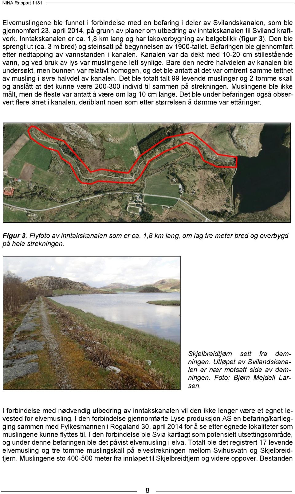 Befaringen ble gjennomført etter nedtapping av vannstanden i kanalen. Kanalen var da dekt med 10-20 cm stillestående vann, og ved bruk av lys var muslingene lett synlige.