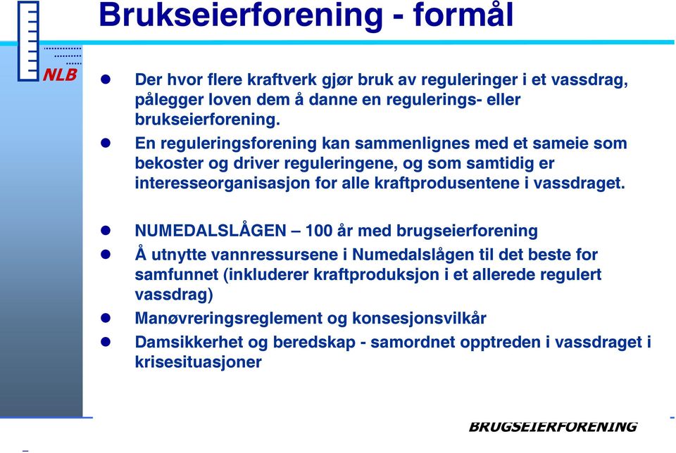 En reguleringsforening kan sammenlignes med et sameie som bekoster og driver reguleringene, og som samtidig er interesseorganisasjon for alle