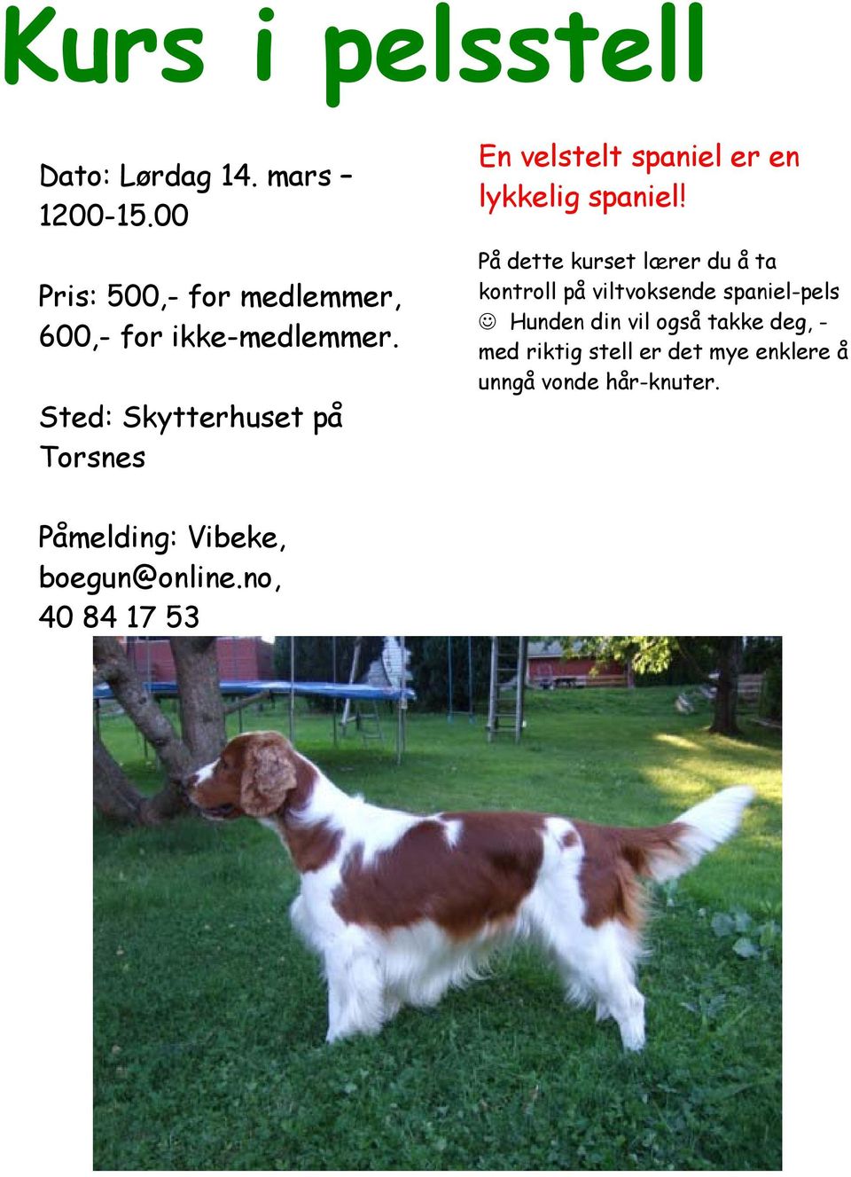 Sted: Skytterhuset på Torsnes En velstelt spaniel er en lykkelig spaniel!