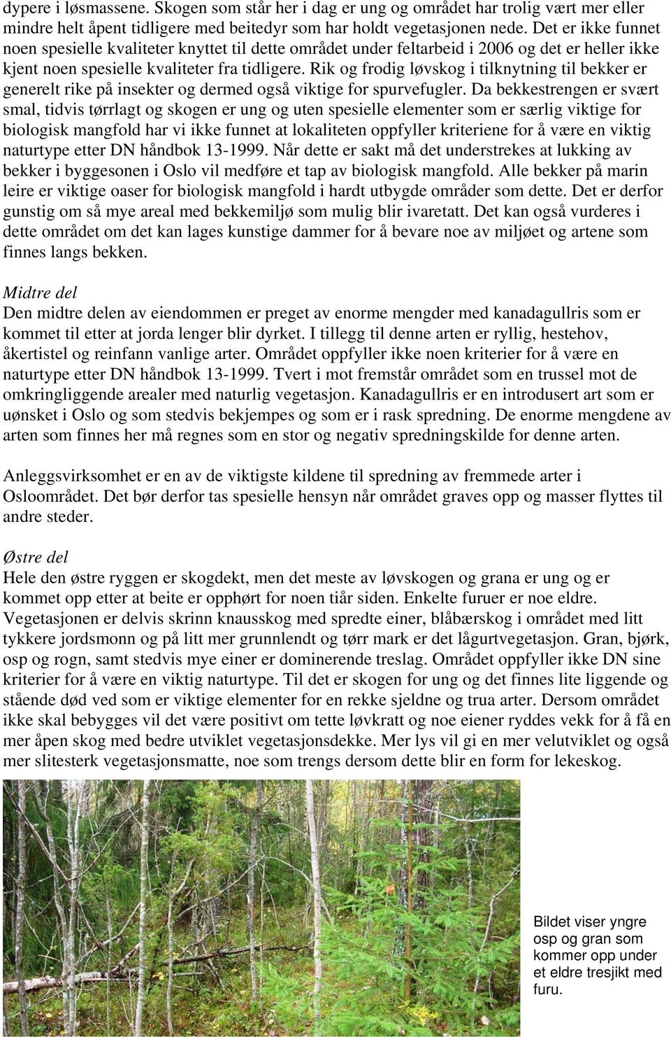 Rik og frodig løvskog i tilknytning til bekker er generelt rike på insekter og dermed også viktige for spurvefugler.