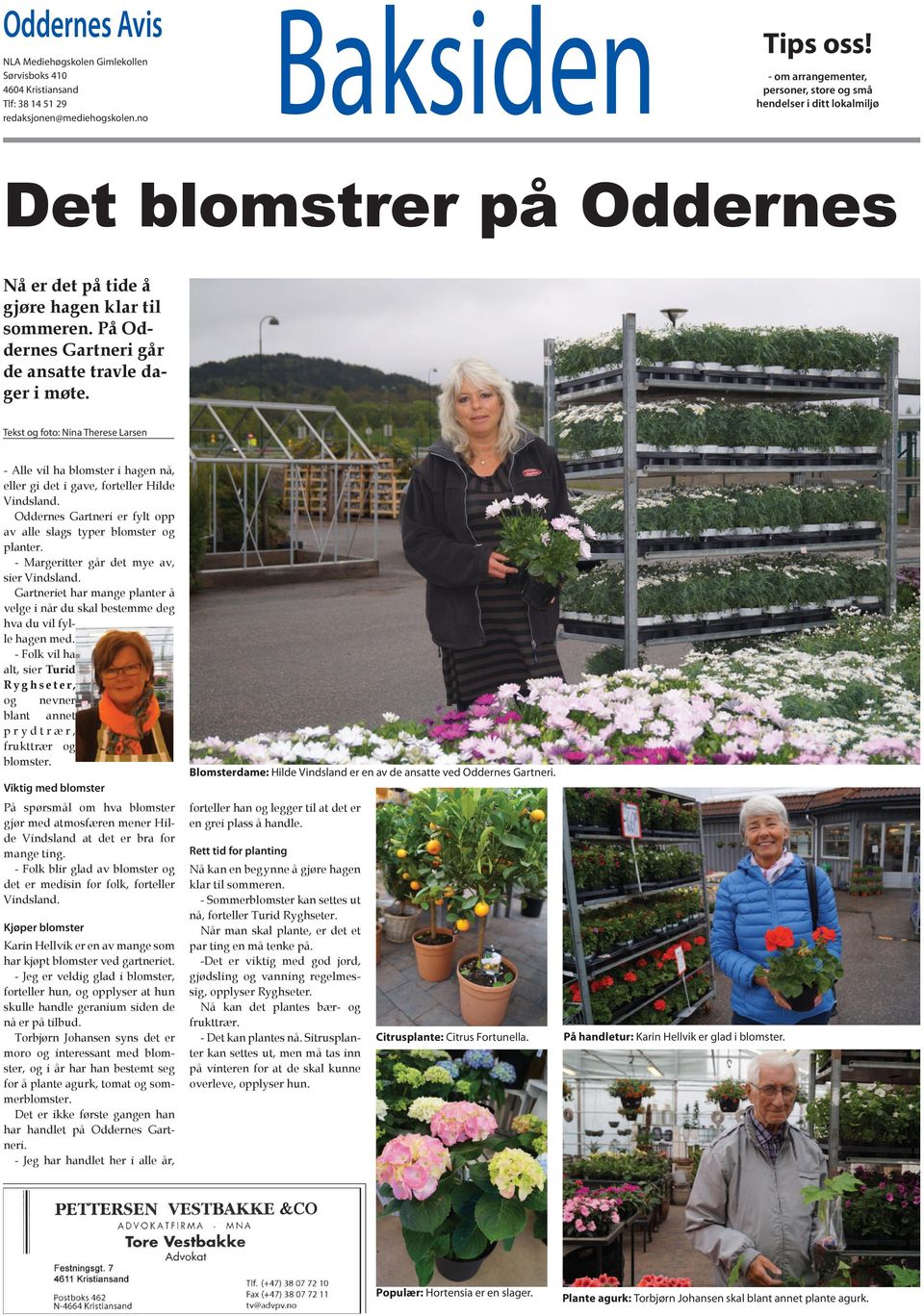 På Oddernes Gartneri går de ansatte travle dager i møte. Tekst og foto: Nina Therese Larsen - Alle vil ha blomster i hagen nå, eller gi det i gave, forteller Hilde Vindsland.