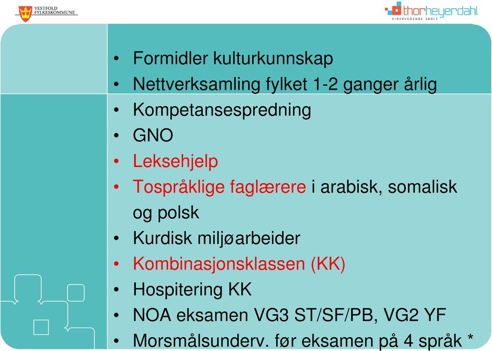 somalisk og polsk Kurdisk miljøarbeider Kombinasjonsklassen (KK)