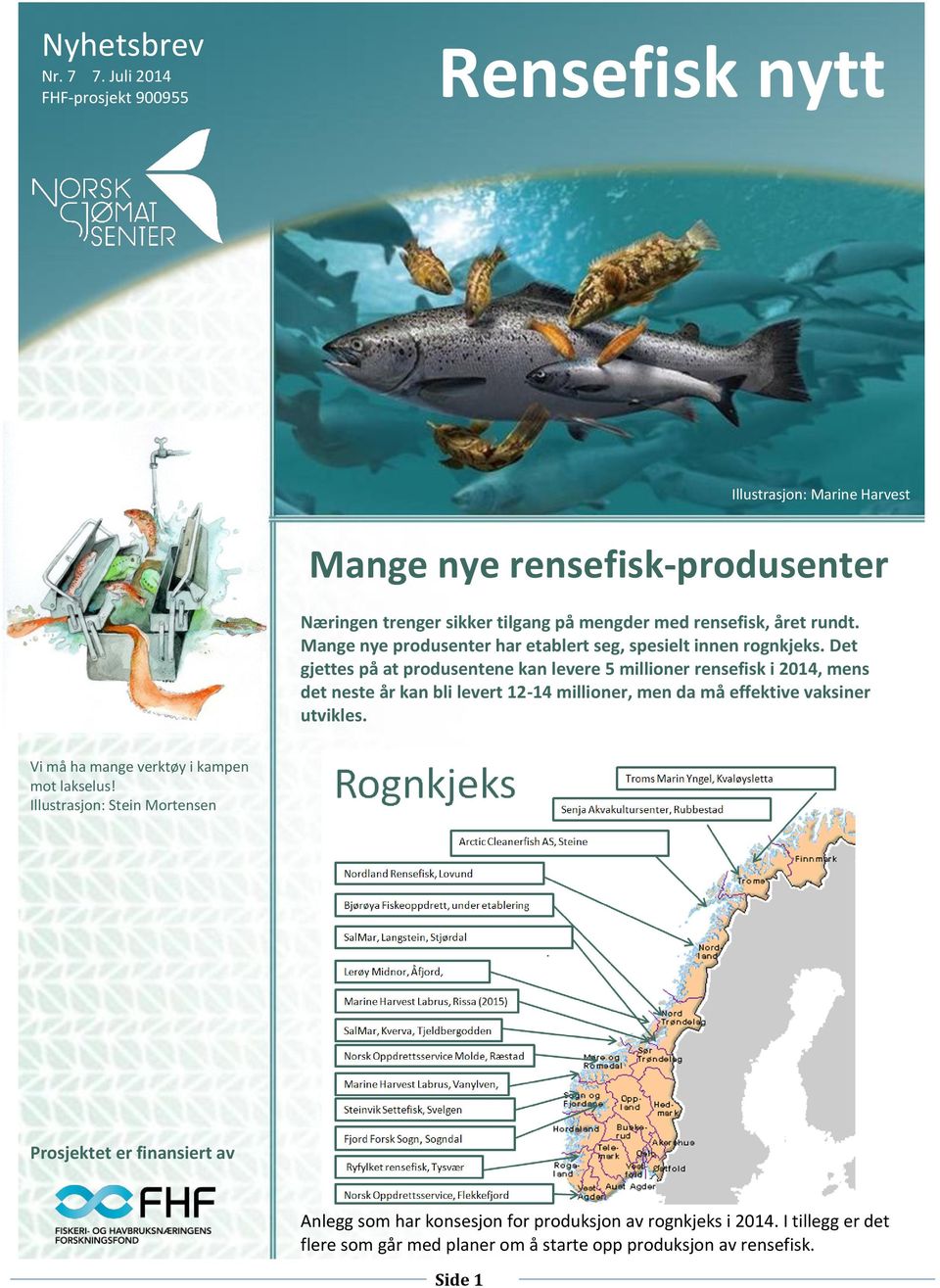 rundt. Mange nye produsenter har etablert seg, spesielt innen rognkjeks.