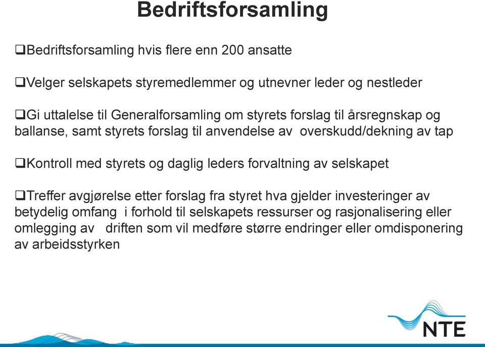 med styrets og daglig leders forvaltning av selskapet Treffer avgjørelse etter forslag fra styret hva gjelder investeringer av betydelig omfang