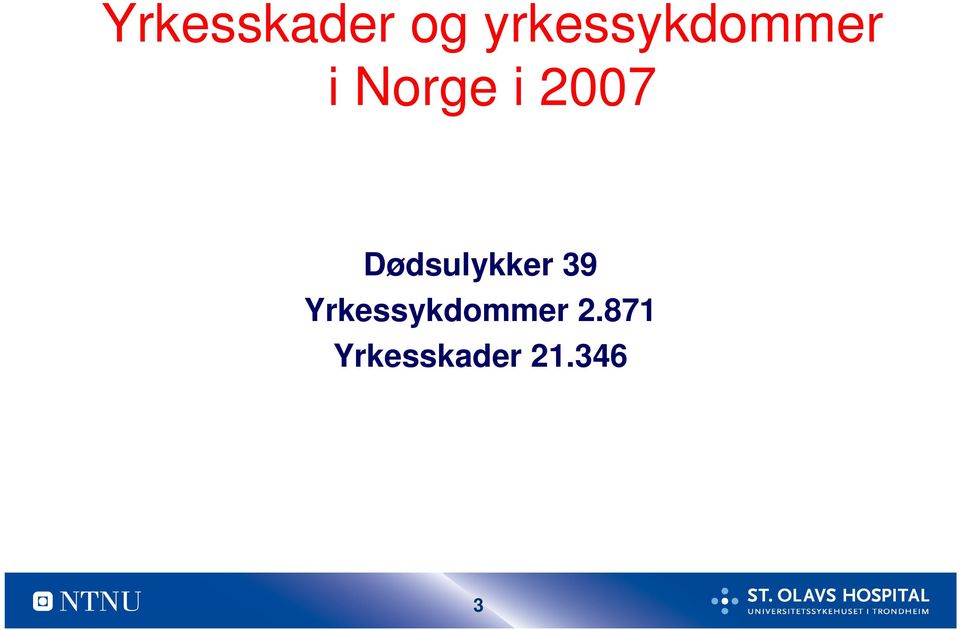 2007 Dødsulykker 39