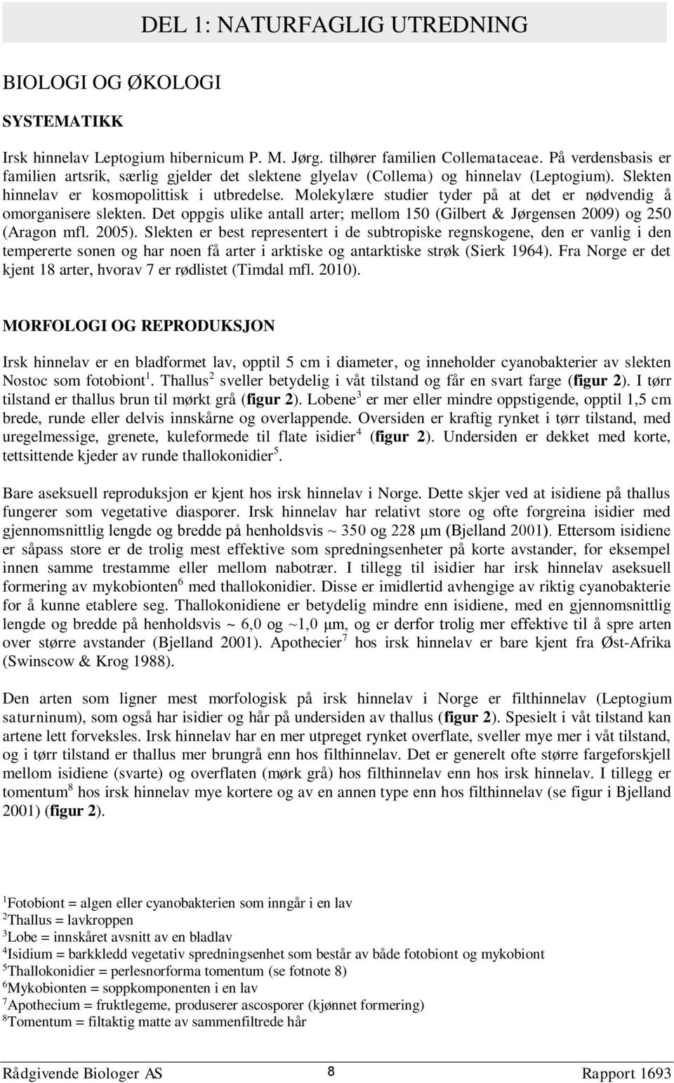 Molekylære studier tyder på at det er nødvendig å omorganisere slekten. Det oppgis ulike antall arter; mellom 150 (Gilbert & Jørgensen 2009) og 250 (Aragon mfl. 2005).