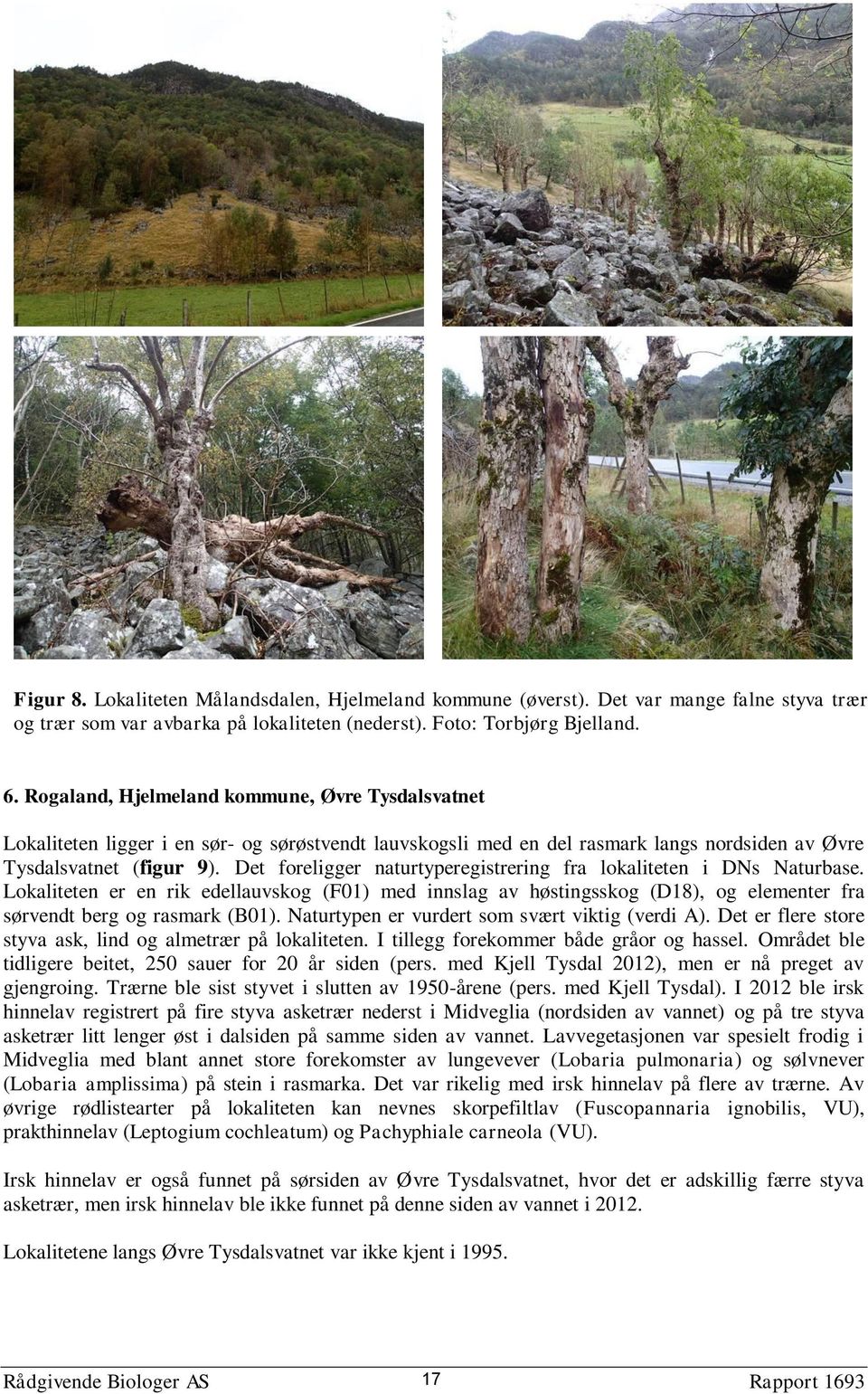 Det foreligger naturtyperegistrering fra lokaliteten i DNs Naturbase. Lokaliteten er en rik edellauvskog (F01) med innslag av høstingsskog (D18), og elementer fra sørvendt berg og rasmark (B01).