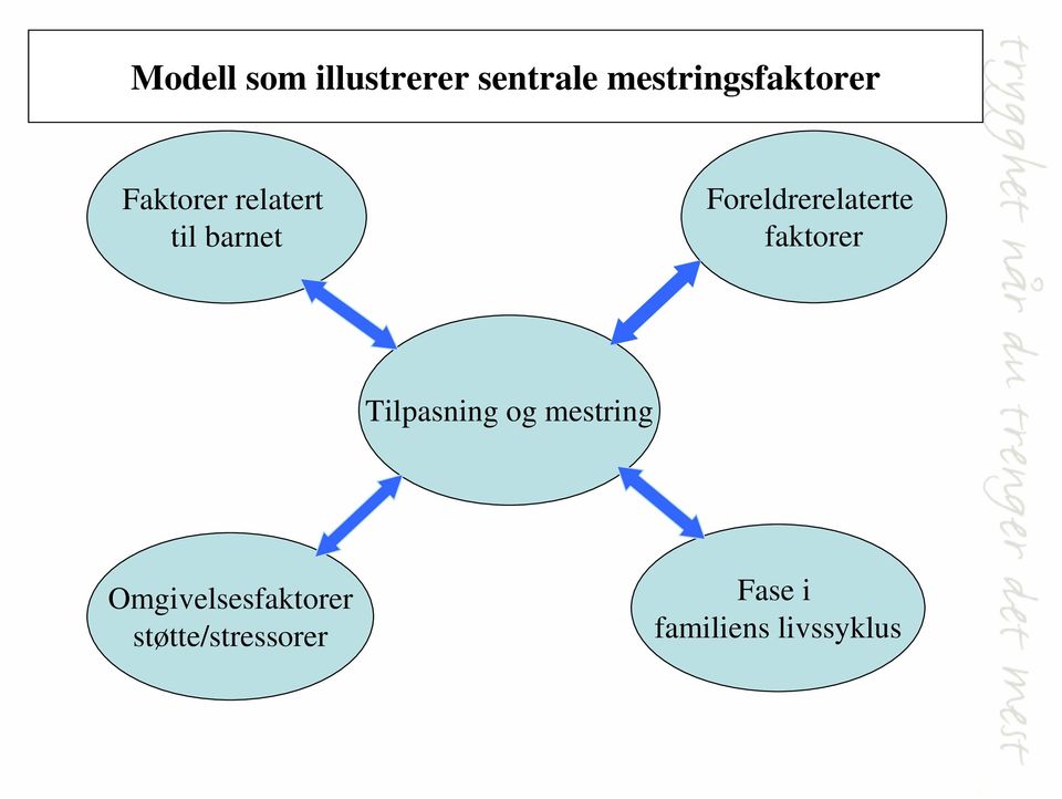 Foreldrerelaterte faktorer Tilpasning og