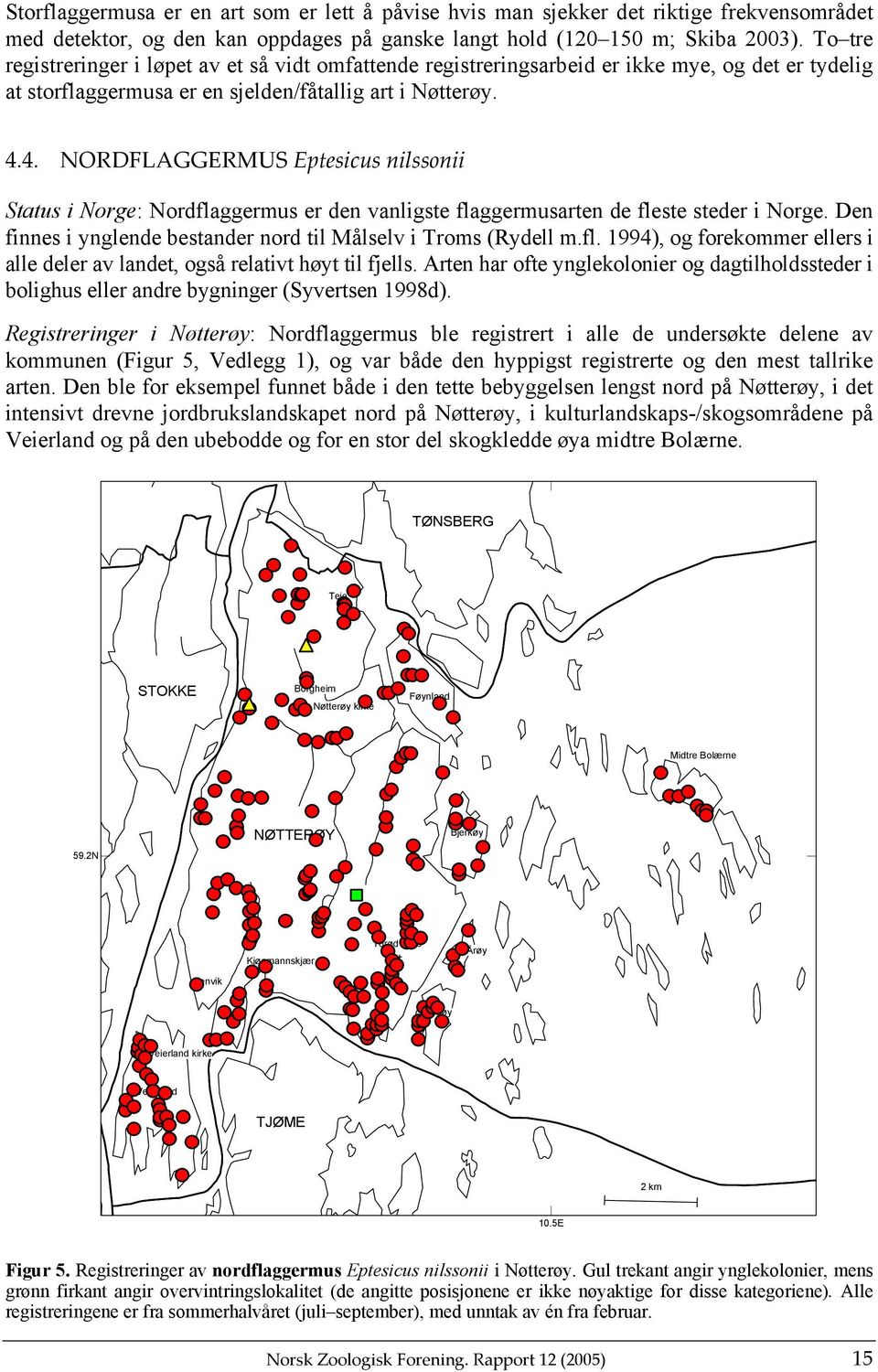 4. NORDFLAGGERMUS Eptesicus nilssonii Status i Norge: Nordflaggermus er den vanligste flaggermusarten de fleste steder i Norge. Den finnes i ynglende bestander nord til Målselv i Troms (Rydell m.fl. 1994), og forekommer ellers i alle deler av landet, også relativt høyt til fjells.