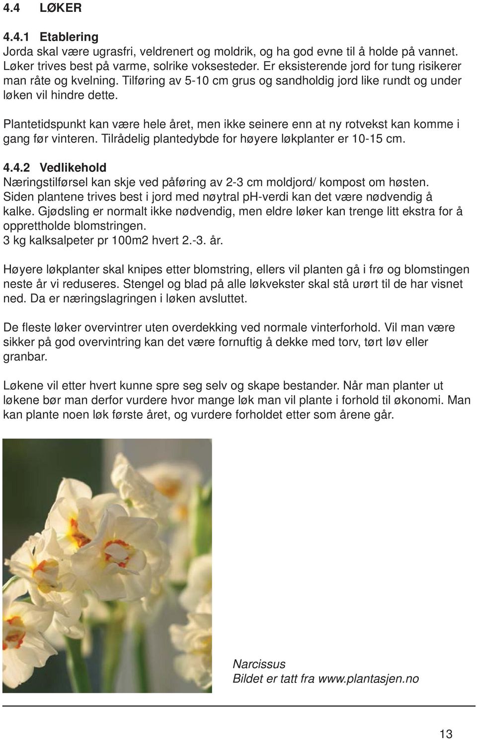 Plantetidspunkt kan være hele året, men ikke seinere enn at ny rotvekst kan komme i gang før vinteren. Tilrådelig plantedybde for høyere løkplanter er 10-15 cm. 4.