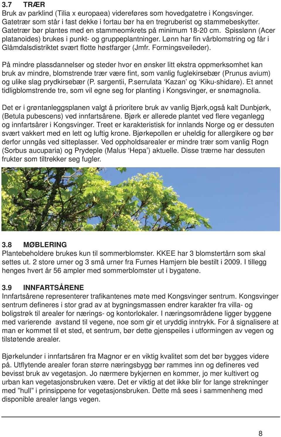 Lønn har fi n vårblomstring og får i Glåmdalsdistriktet svært fl otte høstfarger (Jmfr. Formingsveileder).