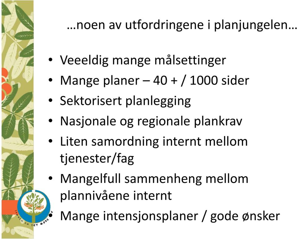 regionale plankrav Liten samordning internt mellom tjenester/fag