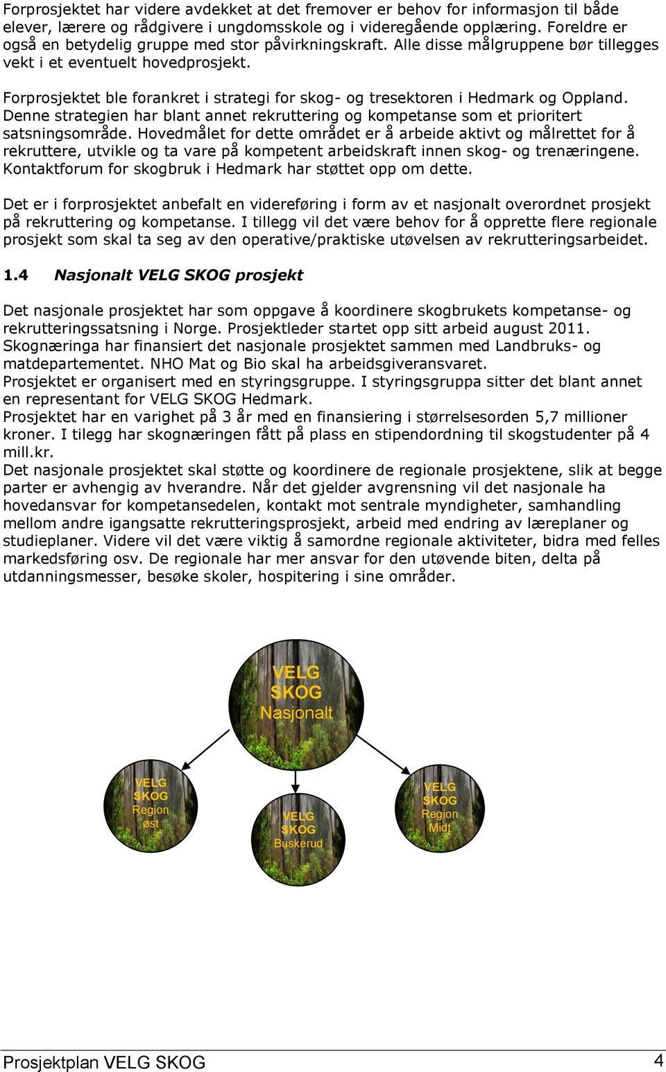 Forprosjektet ble forankret i strategi for skog- og tresektoren i Hedmark og Oppland. Denne strategien har blant annet rekruttering og kompetanse som et prioritert satsningsområde.