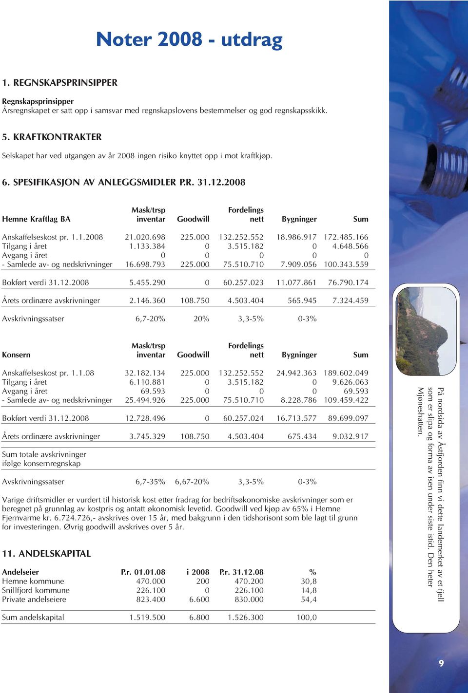 2008 Mask/trsp Fordelings Hemne Kraftlag BA inventar Goodwill nett Bygninger Sum Anskaffelseskost pr. 1.1.2008 21.020.698 225.000 132.252.552 18.986.917 172.485.166 Tilgang i året 1.133.384 0 3.515.