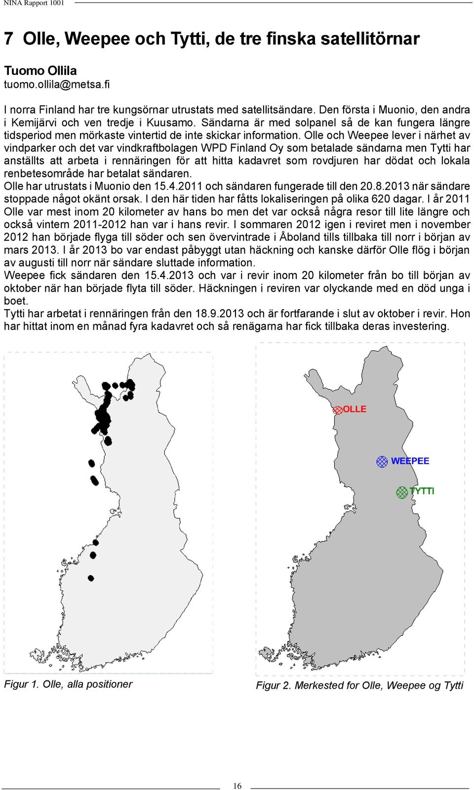 Olle och Weepee lever i närhet av vindparker och det var vindkraftbolagen WPD Finland Oy som betalade sändarna men Tytti har anställts att arbeta i rennäringen för att hitta kadavret som rovdjuren