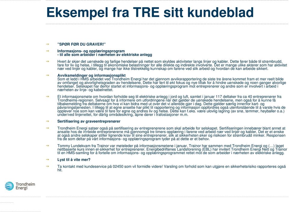 Dette fører både til strømbrudd, fare for liv og helse, i tillegg til økonomiske belastninger for alle direkte og indirekte involverte.