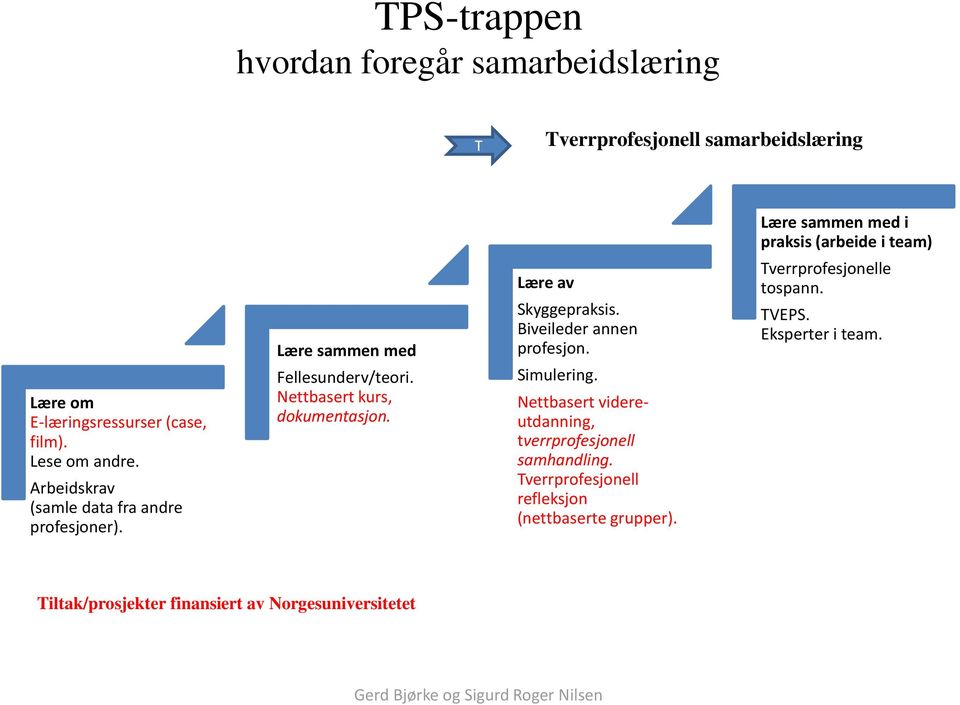 Lære av Skyggepraksis. Biveileder annen profesjon. Simulering. Nettbasert videreutdanning, tverrprofesjonell samhandling.