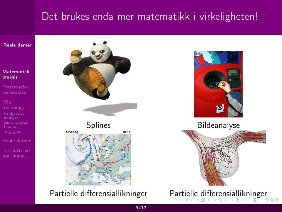 Splines Bilde Partielle