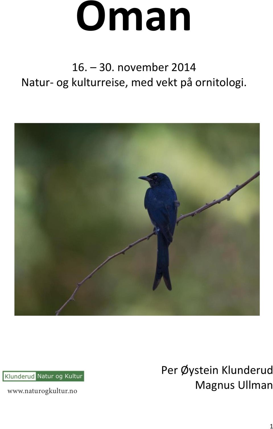 kulturreise, med vekt på