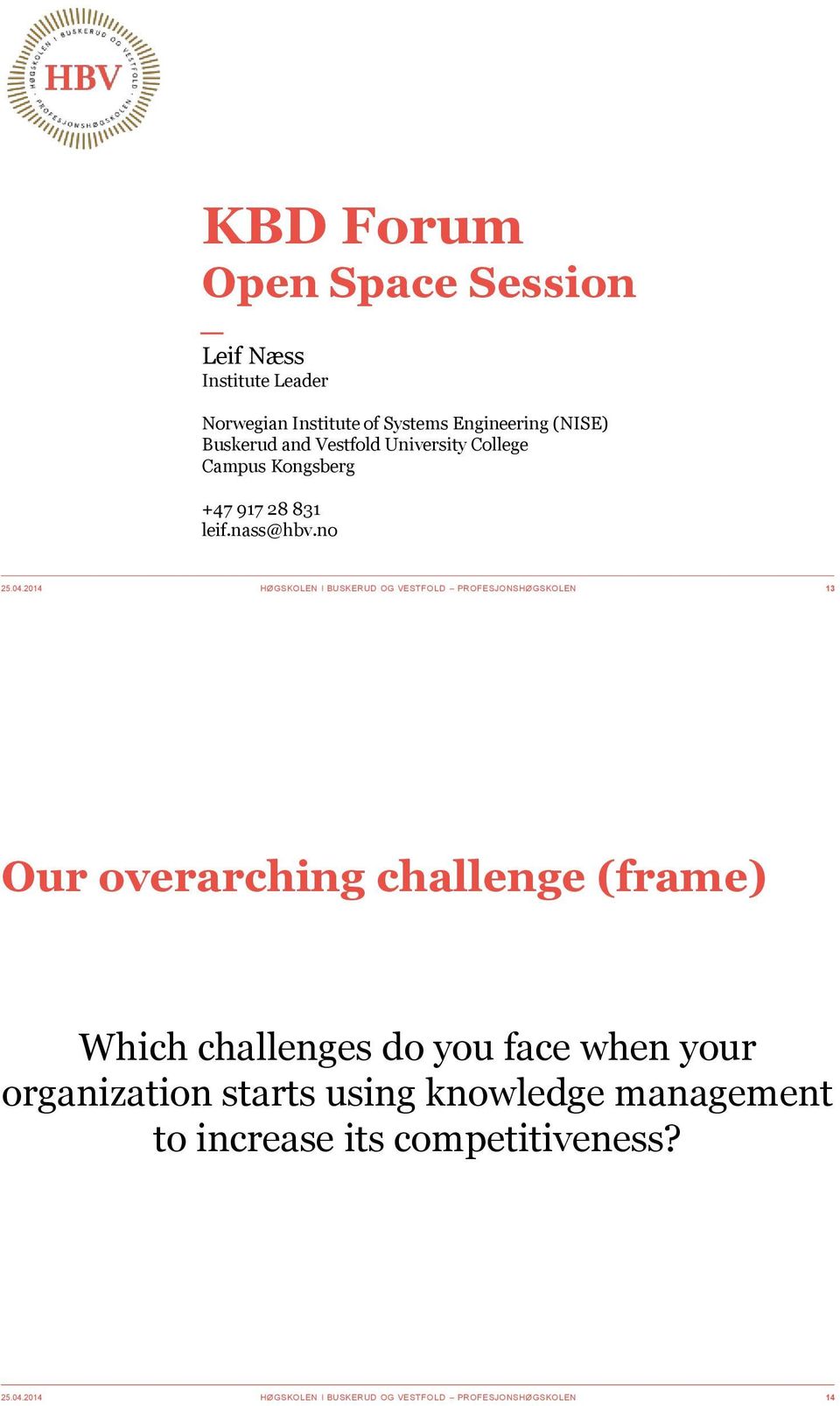 2014 HØGSKOLEN I BUSKERUD OG VESTFOLD PROFESJONSHØGSKOLEN 13 Our overarching challenge (frame) Which challenges do you