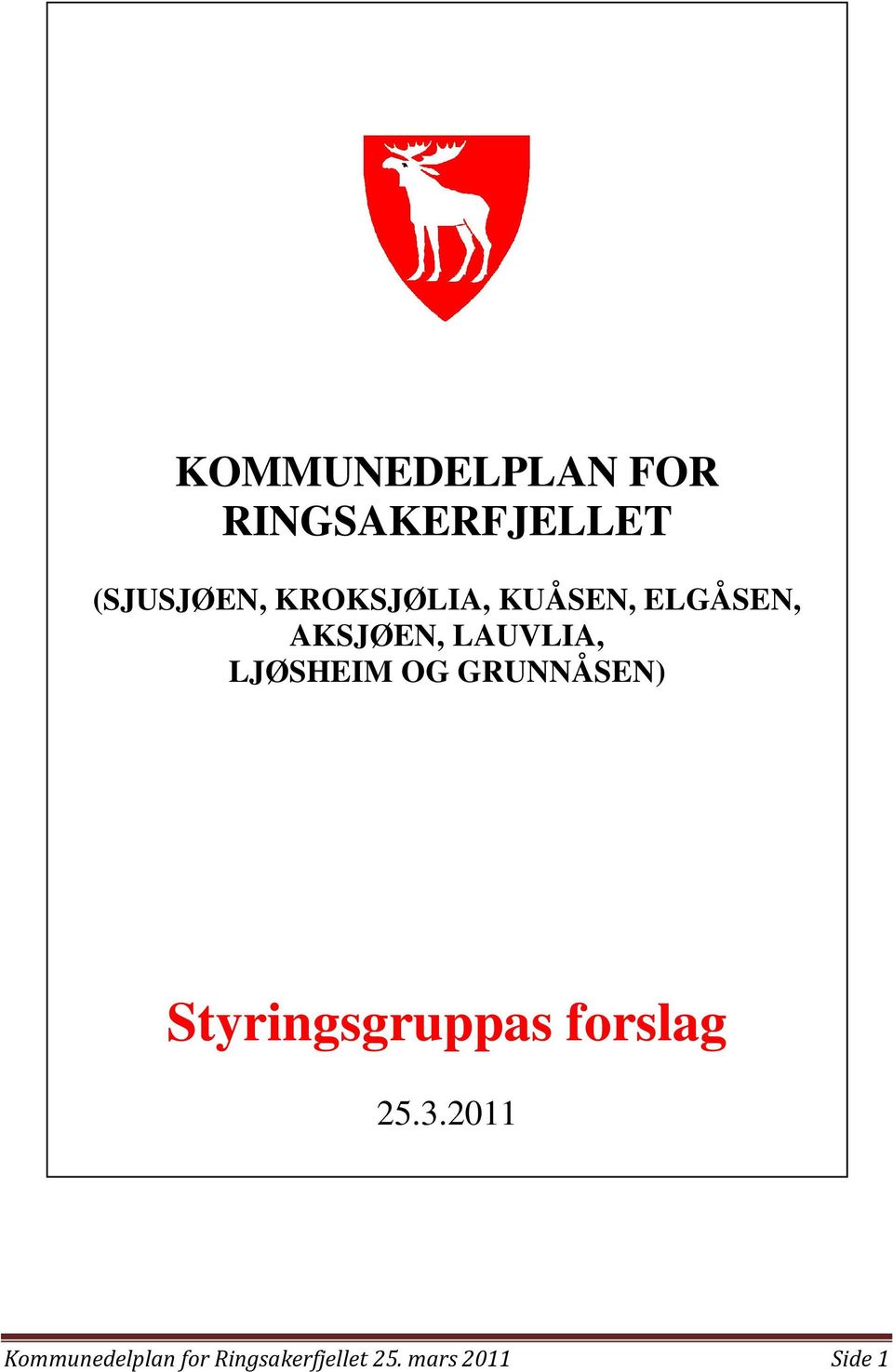 Styringsgruppas forslag 25.3.