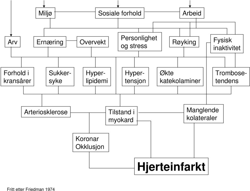 Hyperlipidemi Hypertensjon Trombosetendens Arteriosklerose Tilstand i