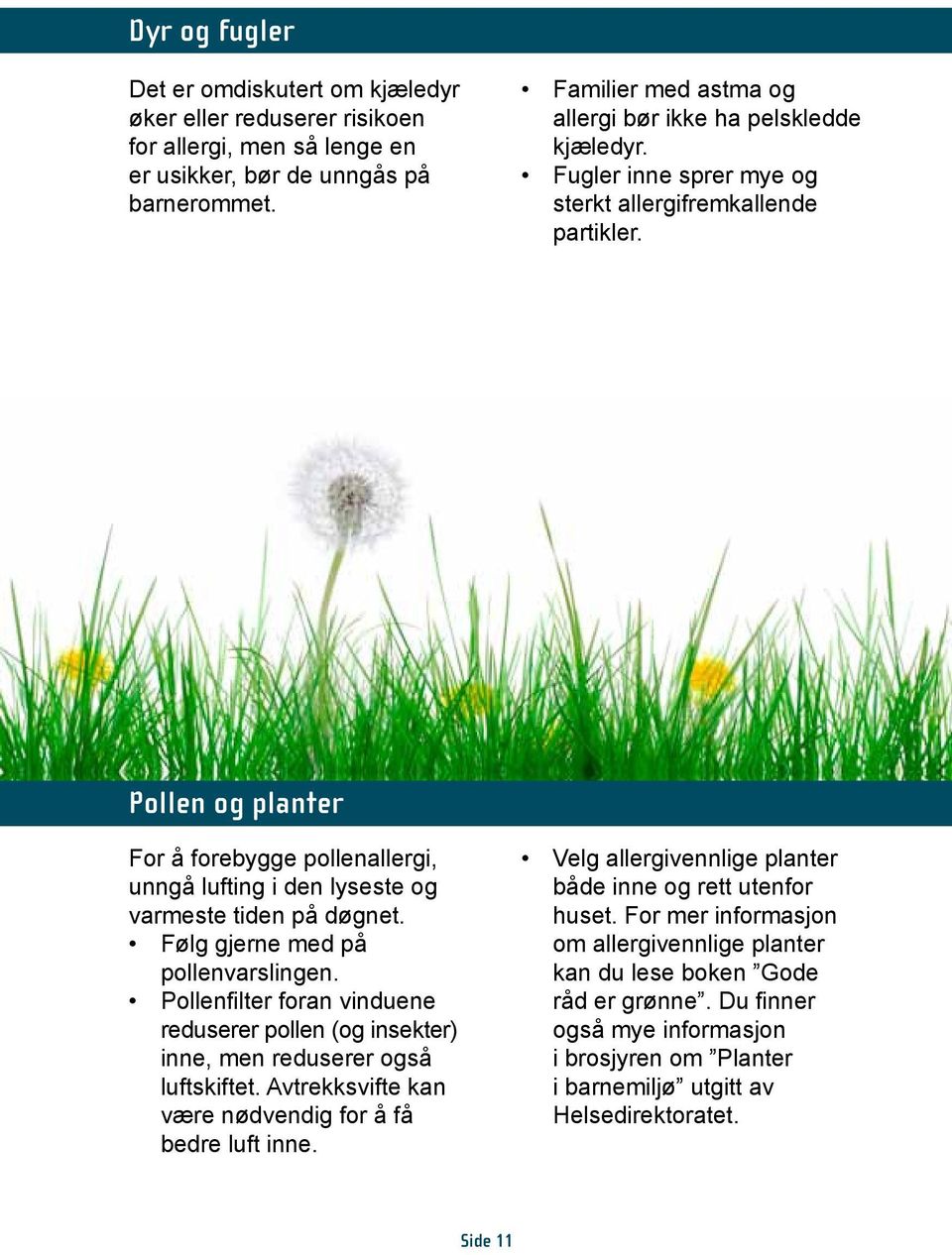 pollen og planter For å forebygge pollenallergi, unngå lufting i den lyseste og varmeste tiden på døgnet. Følg gjerne med på pollenvarslingen.