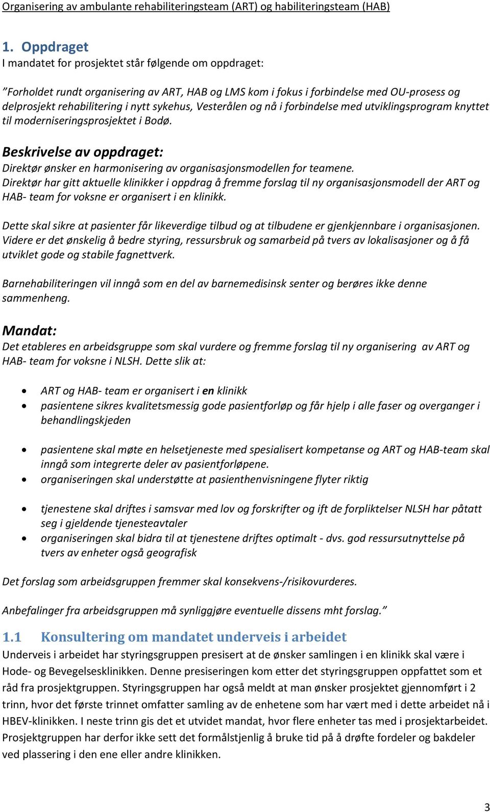 Beskrivelse av oppdraget: Direktør ønsker en harmonisering av organisasjonsmodellen for teamene.