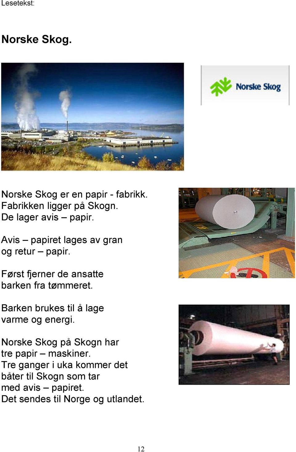 Først fjerner de ansatte barken fra tømmeret. Barken brukes til å lage varme og energi.