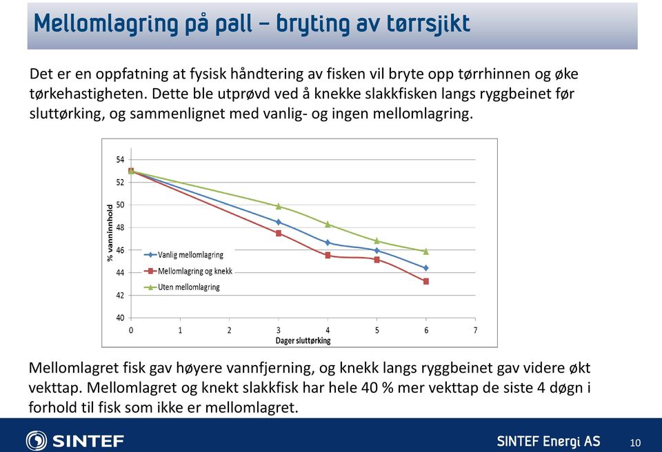 Dette ble utprøvd ved å knekke slakkfisken langs ryggbeinet før sluttørking, og sammenlignet med vanlig- og ingen