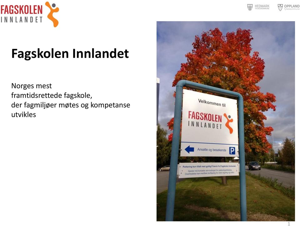 framtidsrettede fagskole,