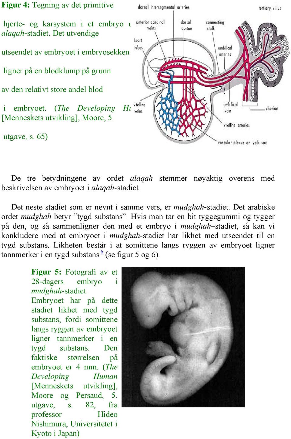 65) De tre betydningene av ordet alaqah stemmer nøyaktig overens med beskrivelsen av embryoet i alaqah-stadiet. Det neste stadiet som er nevnt i samme vers, er mudghah-stadiet.