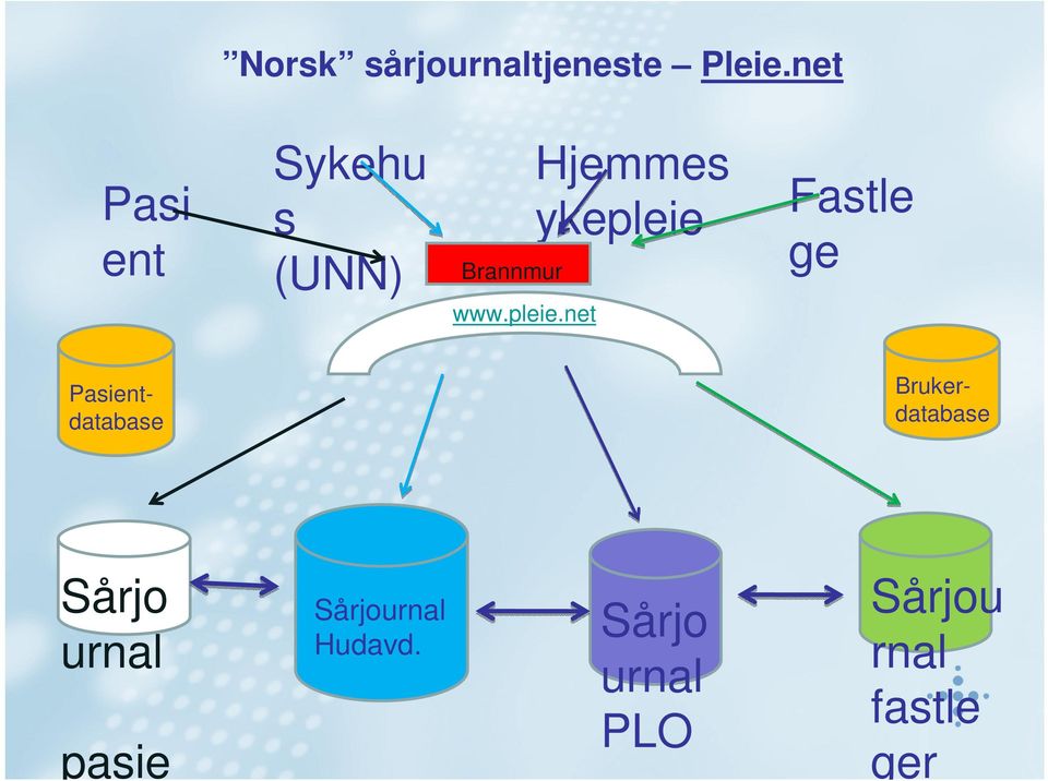 net Hjemmes ykepleie Fastle ge Pasientdatabase