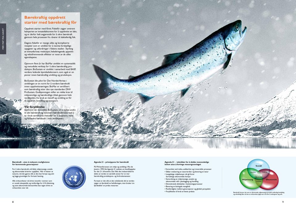 Dagens fiskefôr er mange ulike og kompliserte resepter som er utviklet for å ivareta forskjellige oppgaver og utfordringer i fiskens stadier.