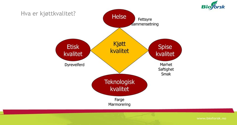 kvalitet Kjøtt kvalitet Spise kvalitet