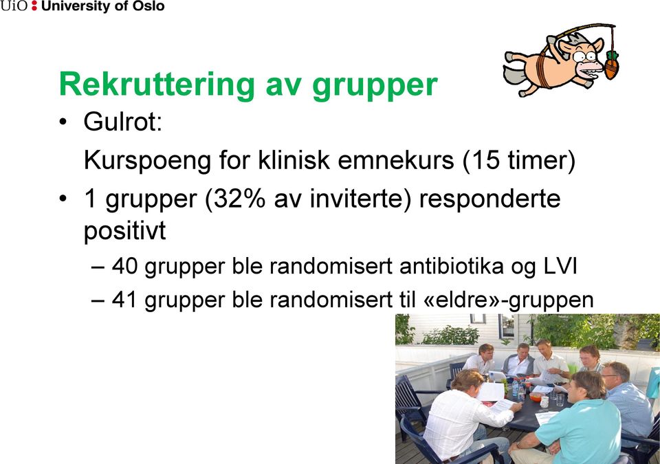 responderte positivt 40 grupper ble randomisert